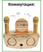 REXUS SD-306 Plus (золотой) - домашняя блютус-караоке система с двумя перезаряжаемыми радиомикрофонами, изменение голоса, Bluetooth