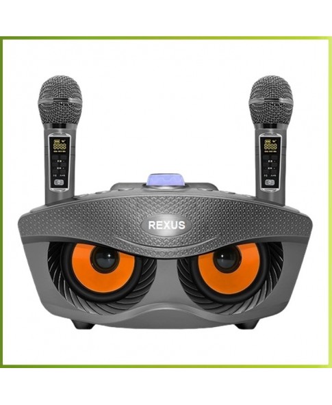 REXUS SD-306 Plus (серый) - домашняя блютус-караоке система с двумя перезаряжаемыми радиомикрофонами, изменение голоса, Bluetooth