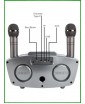 REXUS SD-306 Plus (серый) - домашняя блютус-караоке система с двумя перезаряжаемыми радиомикрофонами, изменение голоса, Bluetooth