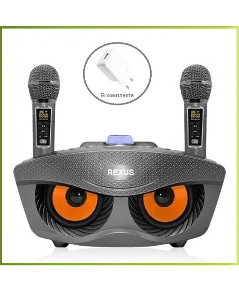 REXUS SD-306 Plus (серый) - домашняя блютус-караоке система с двумя перезаряжаемыми радиомикрофонами, изменение голоса, Bluetooth