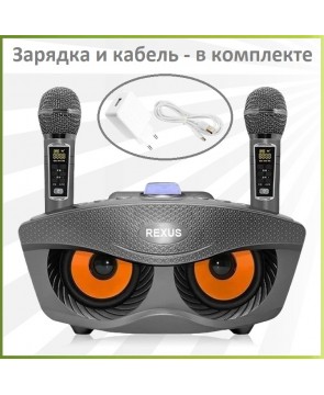 REXUS SD-306 Plus (серый) - домашняя блютус-караоке система с двумя перезаряжаемыми радиомикрофонами, изменение голоса, Bluetooth