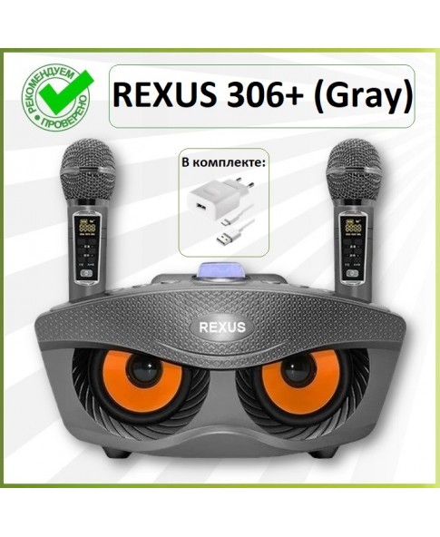 REXUS SD-306 Plus (серый) - домашняя блютус-караоке система с двумя перезаряжаемыми радиомикрофонами, изменение голоса, Bluetooth