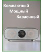 REXUS SD-316 PRO (Gray) - домашняя караоке система, Line In/Out, Bluetooth, USB, AUX, аплодиcменты