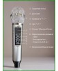 REXUS SD-316 PRO (Gray) - домашняя караоке система, Line In/Out, Bluetooth, USB, AUX, аплодиcменты