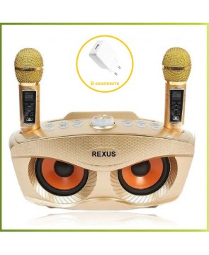 REXUS SD Plus (золотой) - домашняя блютус-караоке система с двумя перезаряжаемыми радиомикрофонами, изменение голоса, Bluetooth