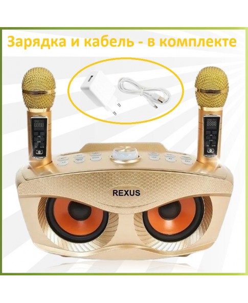 REXUS SD-306 Plus (золотой) - домашняя блютус-караоке система с двумя перезаряжаемыми радиомикрофонами, изменение голоса, Bluetooth