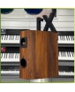 ATOMIC VOICE X-1 (Wood) - полочная акустика, 2шт, пассивная, 2 х 150 Вт, антирезонансный корпус, MDF