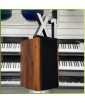 ATOMIC VOICE X-1 (Wood) - полочная акустика, 2шт, пассивная, 2 х 150 Вт, антирезонансный корпус, MDF