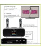 Караоке комплект "SOVA SET GRAY" - универсальный комплект караоке, BLUETOOTH, USB, два радиомикрофона