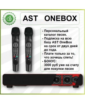 AST ONEBOX - караоке система для дома самого профессионального уровня, акустическая система, саундбар, BLUETOOTH