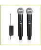 REXUS SIMPLE - комплект караоке для дома, 2 радиомикрофона, HDMI, USB, Оценка Пения
