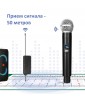 REXUS SIMPLE - комплект караоке для дома, 2 радиомикрофона, HDMI, USB, Оценка Пения