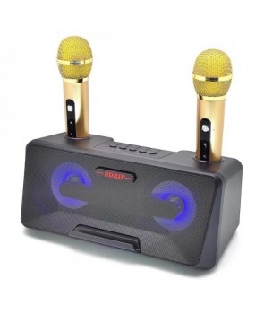 SDRD SD-301 (черный) - bluetooth колонка-караоке с двумя беспроводными микрофонами, онлайн караоке, USB, AUX