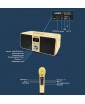 SDRD SD-309 (золотой) - bluetooth колонка-караоке с двумя беспроводными микрофонами, онлайн караоке, USB, AUX, увеличенная мощность 30Вт