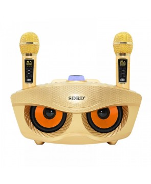 SDRD SD 306 Plus (золотой) - домашняя блютус-караоке система с двумя перезаряжаемыми радиомикрофонами, изменение голоса, Bluetooth