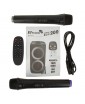 ELTRONIC 20-12 "DANCE BOX 200" - аккумуляторная акустическая колонка USB, Bluetooth, TWS, караоке, световая LED панель "ACTIVE RING", микрофон, 300 Вт