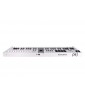 MIDI клавиатура Arturia KeyLab Essential 61 mk3 (White)