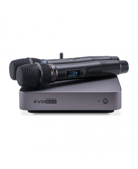 Караоке-система для дома EVOBOX Plus (Graphit) с цифровыми микрофонами в комплекте, модель 2021 г.