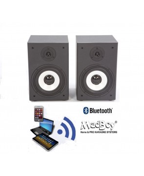 Madboy BONEHEAD-206 BT -  активная акустическая система с Bluetooth для помещения до 20 м2, 50 Вт