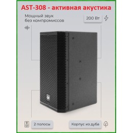 AST-308A - активная (200 Вт) 8" двухполосная акустическая система с цифровым аудиопроцессором и усилителем класса D