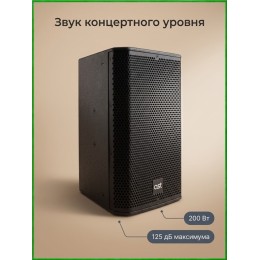 AST-308A - активная (200 Вт) 8" двухполосная акустическая система с цифровым аудиопроцессором и усилителем класса D