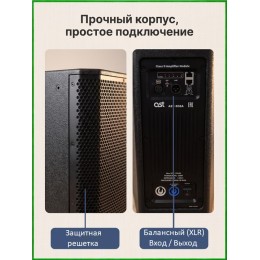 AST-308A - активная (200 Вт) 8" двухполосная акустическая система с цифровым аудиопроцессором и усилителем класса D
