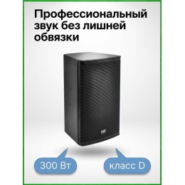 AST-310A - активная (300 Вт) 10" двухполосная акустическая система с цифровым аудиопроцессором и усилителем класса D