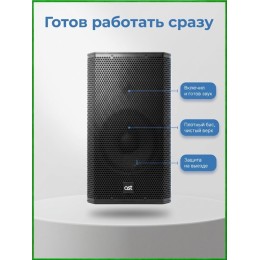 AST-310A - активная (300 Вт) 10" двухполосная акустическая система с цифровым аудиопроцессором и усилителем класса D