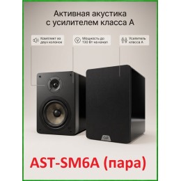 AST-SM6A - комплект из двух активных акустических систем с усилителем класса А и мощностью до 130 Вт каждая