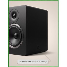 AST-SM6A - комплект из двух активных акустических систем с усилителем класса А и мощностью до 130 Вт каждая