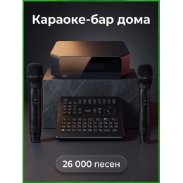 AST ZOOM - караоке-система профессиональная для дома и клуба, 2 беспроводных микрофона в комплекте, более 23000 песен,4К