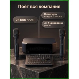 AST ZOOM - караоке-система профессиональная для дома и клуба, 2 беспроводных микрофона в комплекте, более 23000 песен,4К