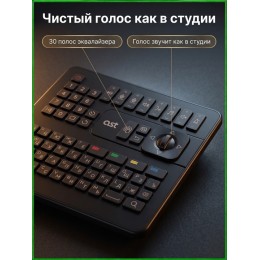 AST ZOOM2 - караоке-система профессиональная для дома и клуба, 2 беспроводных микрофона в комплекте, более 43000 песен,4К